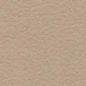 Beige leather texture with a granular, pebbled surface; full-grain material displays subtle creases and a matte finish, labeled “col. 360”.